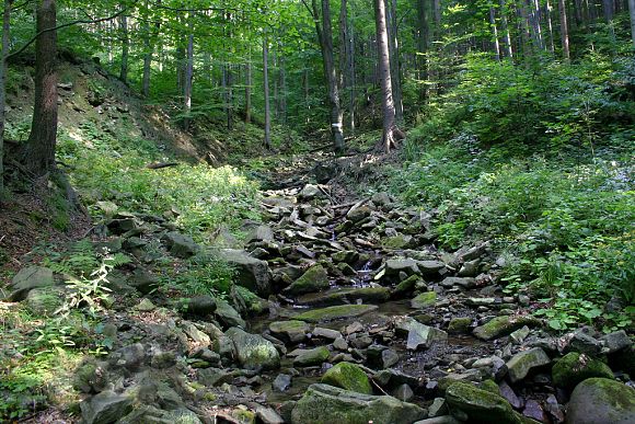Spodní část přírodní rezervace Bučací potok (29. 8. 2004)
