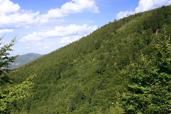 Přírodní rezervace Bučací potok (29. 8. 2004)