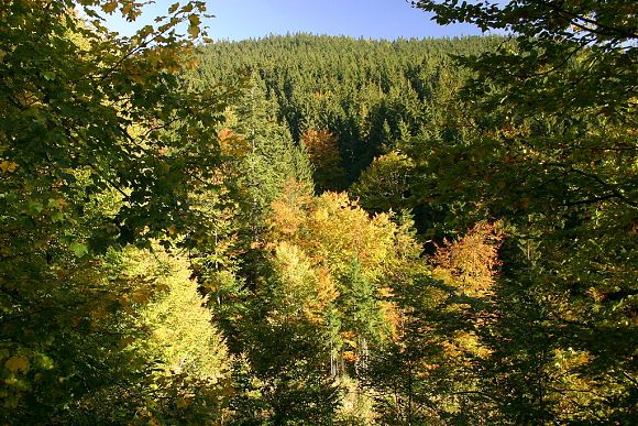 Přírodní rezervace Draplavý (6. 10. 2004)
