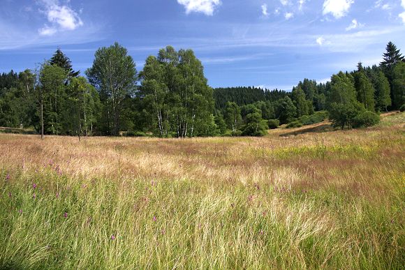 Přírodní památka Filůvka (13. 7. 2014)