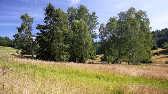 Přírodní památka Filůvka (13. 7. 2014)