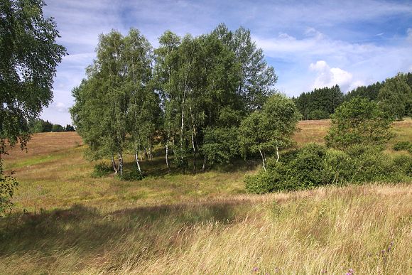 Přírodní památka Filůvka (13. 7. 2014)