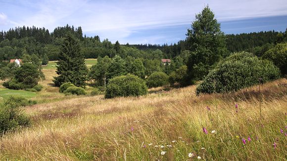 Přírodní památka Filůvka (13. 7. 2014)