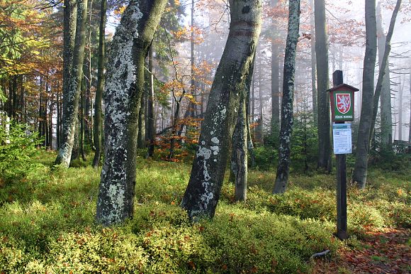 Přírodní rezervace Klíny (23. 10. 2004)