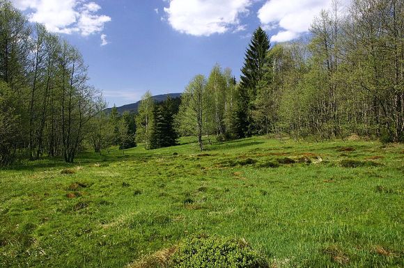 Přírodní památka Obidová (27. 5. 2005)