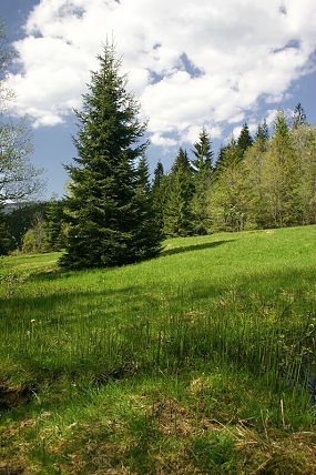 Přírodní památka Obidová (27. 5. 2005)