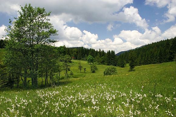 Přírodní památka Obidová (20. 6. 2005)