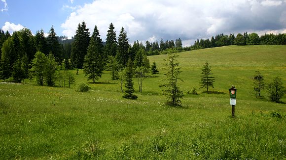 Přírodní památka Obidová (20. 6. 2005)