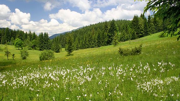 Přírodní památka Obidová (20. 6. 2005)