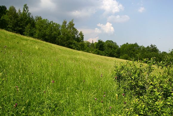 Přírodní památka Pod Lukšincem (9. 6. 2007)