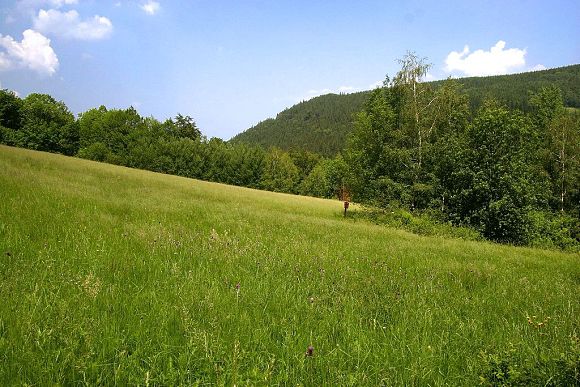 Přírodní památka Pod Lukšincem (9. 6. 2007)