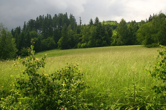 Přírodní památka Pod Lukšincem (9. 6. 2007)