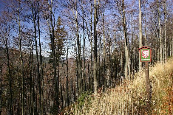 Přírodní rezervace Travný (29. 10. 2004)