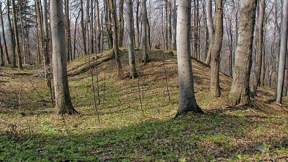 Přírodní rezervace Trojačka (25. 4. 2003)