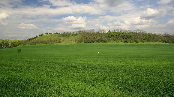 Čejčský Špičák, jedna z částí přírodní památky Bílý kopec u Čejče (4. 5. 2008)