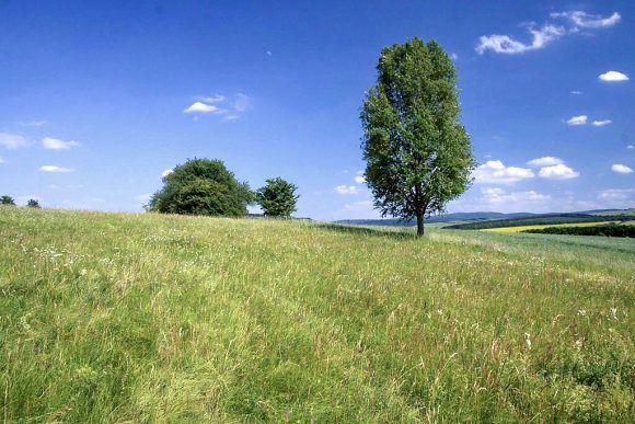 Přírodní památka Miliovy louky, v pozadí Bílé Karpaty (2. 6. 2017)