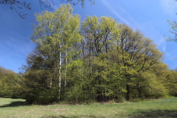 Přírodní rezervace Moravanské lúky (20. 4. 2018)