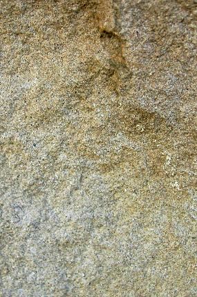 Flyšové sedimenty antoníneckého souvrství, přírodní památka Střečkův kopec (28. 10. 2003)