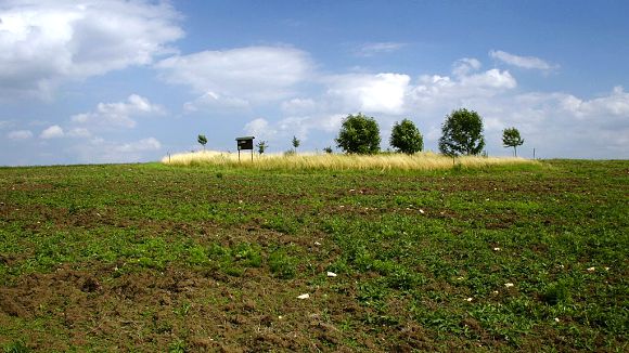 Přírodní památka Střečkův kopec (24. 7. 2005)