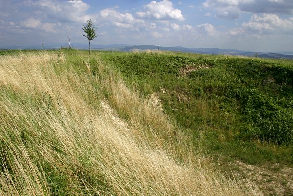 Přírodní památka Střečkův kopec (27. 7. 2005)