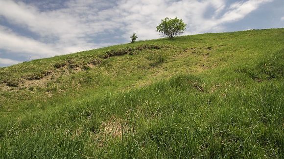 Přírodní památka Zápověď u Karlína (8. 5. 2015)