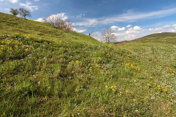 Z návštěvy u sousedů v Jihomoravském kraji – přírodní památka Bohuslavické stráně, část Hrad, 1. 5. 2023
