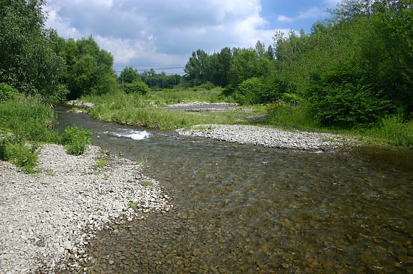 Národní přírodní památka Skalická Morávka u Vyšních Lhot (20. 6. 2005)