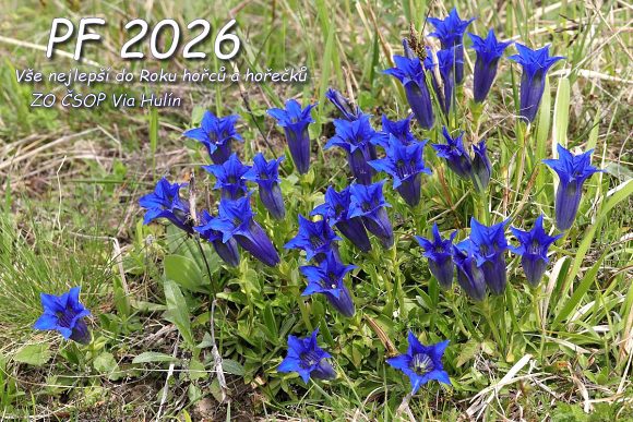 PF 2026 – vše nejlepší do Roku hořců (a hořečků).