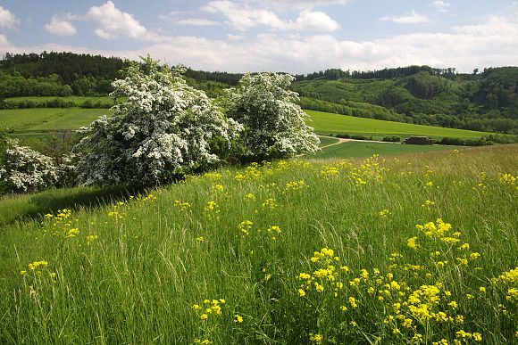 Přírodní památka Bralová (17. 5. 2015)