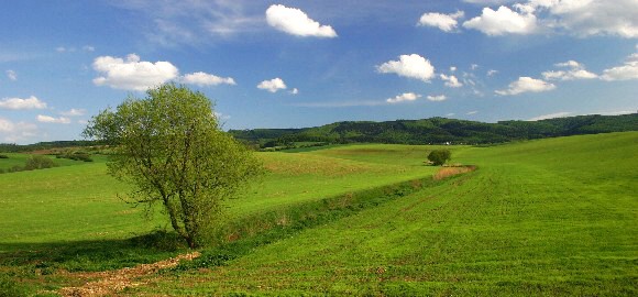 Přírodní park Chřiby od Roštína (7.5. 2005), foto © Zdeněk Podešva