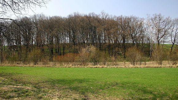 Přírodní památka Dubina (14. 4. 2005)