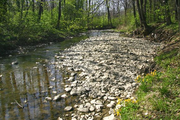 Navrhovaná přírodní památka Juhyně pod Komárnem, foto © Zdeněk Podešva