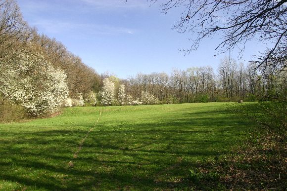 Navrhovaná přírodní památka Juhyně pod Komárnem, foto © Zdeněk Podešva