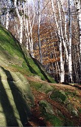 Foto © Zdeněk Podešva