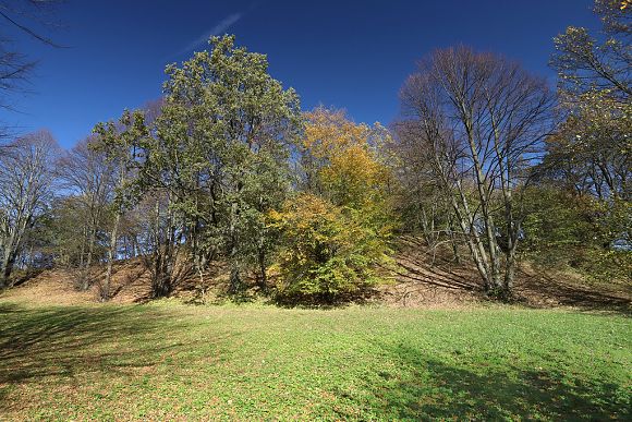 Přírodní památka Skalka-Polomsko (21. 10. 2019), foto © Zdeněk Podešva