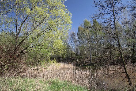 Přírodní památka Skalky u Hulína (1. 6. 2005), foto © Zdeněk Podešva