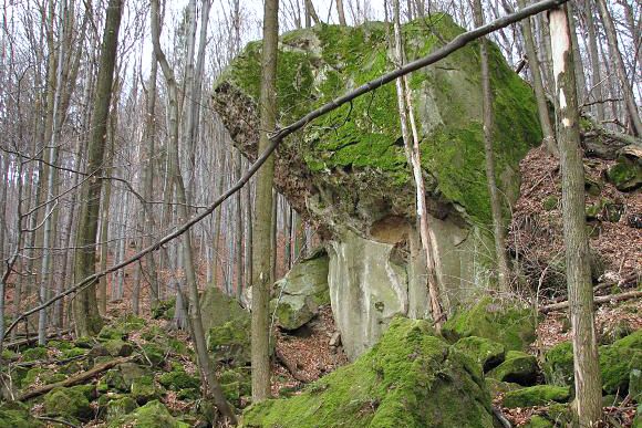 Přírodní rezervace Smrdutá (13.1. 2007), foto © Zdeněk Podešva