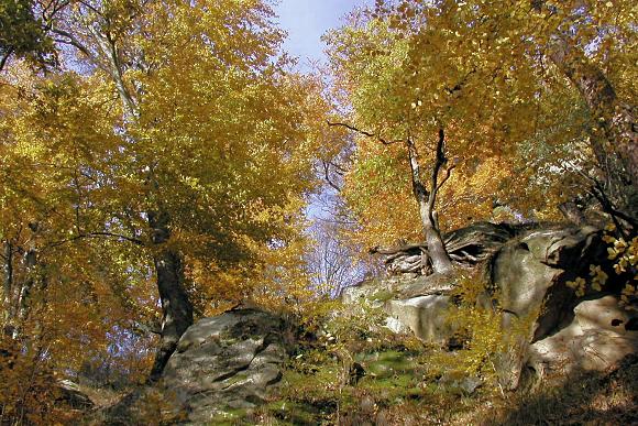 Podzim v přírodní památce Barborka (3. 11. 2003), foto © Zdeněk Podešva
