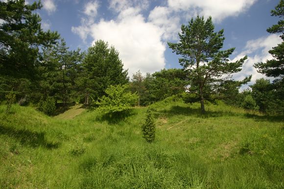 Přírodní památka Cestiska - horní část (12. 7. 2009)