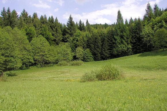 Přírodní památka Chmelinec (16. 5. 2003)