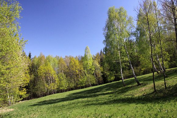 Přírodní rezervace Horní louky - spodní část lokality (18. 4. 2014), foto © Z. Podešva