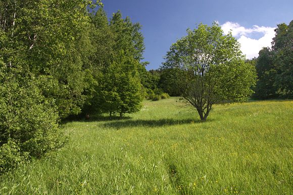 Přírodní památka Hříštěk (15. 5. 2014), foto © Z. Podešva