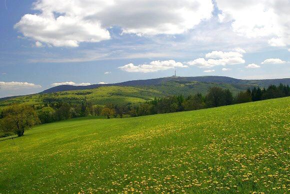 Národní přírodní rezervace Javorina od Lesné (13. 5. 2005), foto © Z. Podešva