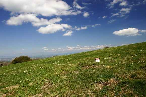 Vrcholovou louku na Velké Javorině dělí státní hranice se Slovenskem, foto © Z. Podešva