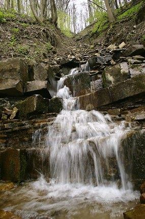Terasové vodopády Veličky v NPR Javorina, foto © Z. Podešva