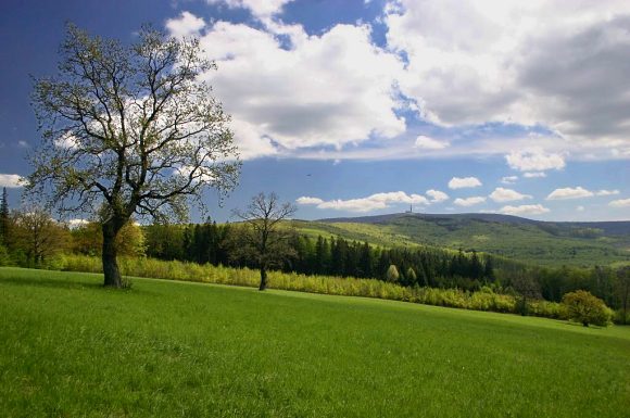 Národní přírodní rezervace Javorina od Lesné (13. 5. 2005), foto © Z. Podešva