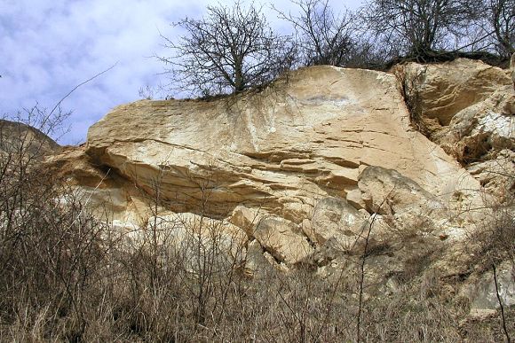 Přírodní památka Ježovský lom (21. 3. 2003), foto © Zdeněk Podešva