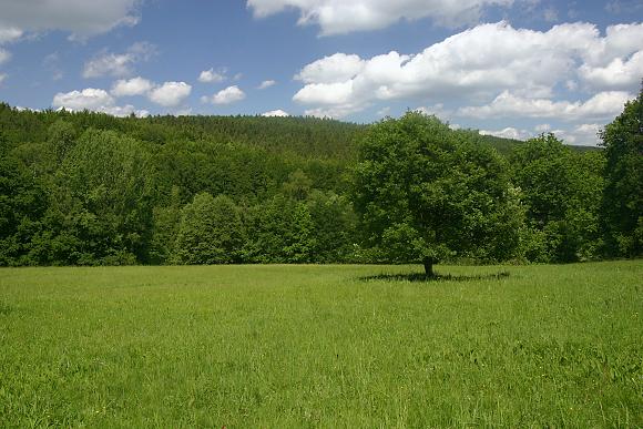 Přírodní památka Mravenčí louka (23. 5. 2009)