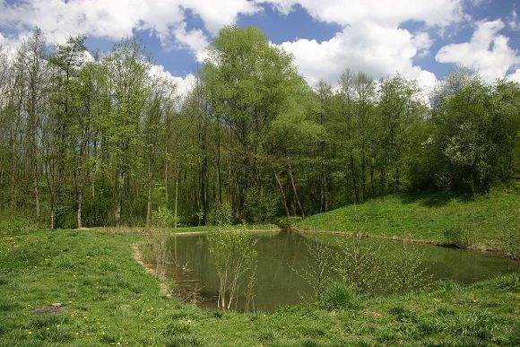 Přírodní památka Ovčírka (19. 4. 2009), foto © Z. Podešva