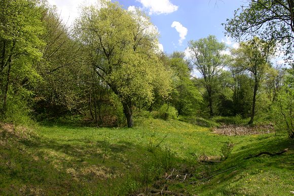 Přírodní památka Ovčírka (19. 4. 2009), foto © Z. Podešva